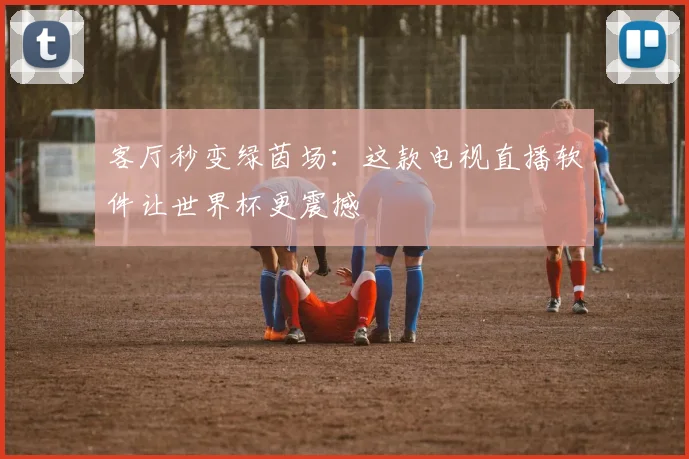 客厅秒变绿茵场：这款电视直播软件让世界杯更震撼