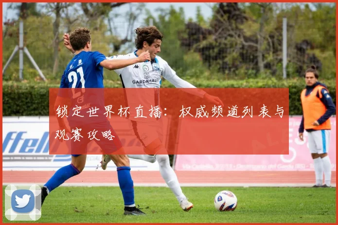 锁定世界杯直播：权威频道列表与观赛攻略