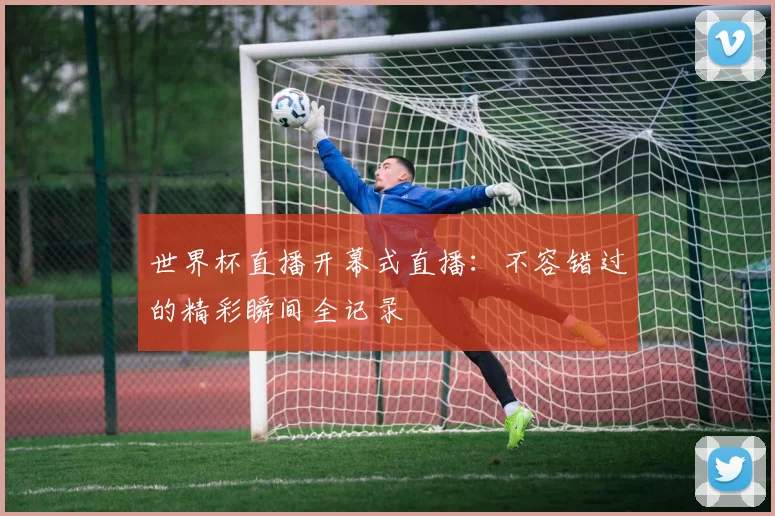 世界杯直播开幕式直播：不容错过的精彩瞬间全记录