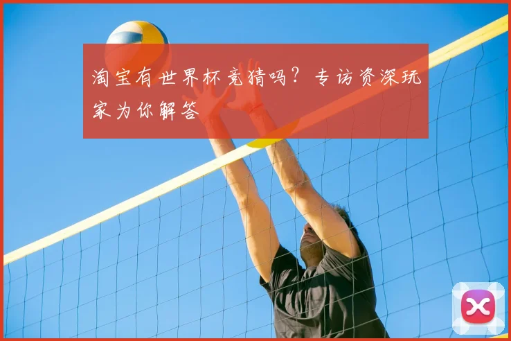 淘宝有世界杯竞猜吗？专访资深玩家为你解答