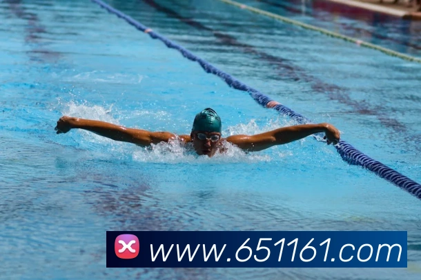 App Interface Preview